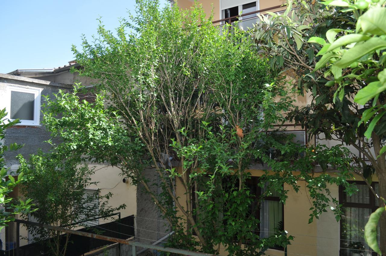 Apartments Ljubica 马卡尔斯卡 外观 照片
